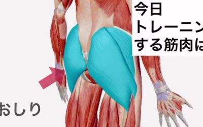 お尻引き締め効果！お尻のトレーニング