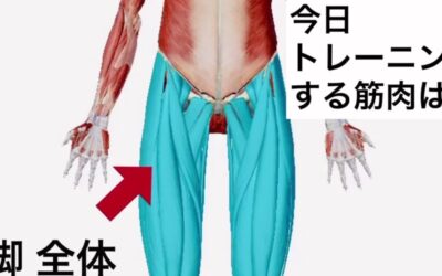 簡単脚のトレーニング！