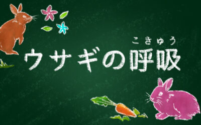 子供ヨガ-ウサギの呼吸-